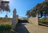 Detached villa with land for sale on España, Badajoz, ref: TR379818 photo
