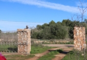 Parcela urbanizable en venta en la España, Campos, ref: TR373167 foto