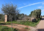 Parcela urbanizable en venta en la España, Campos, ref: TR373167 foto