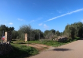 Parcela urbanizable en venta en la España, Campos, ref: TR373167 foto