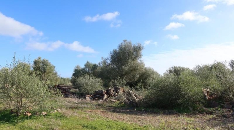 Islas Baleares - Кампос - 14625m2