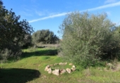 Parcela urbanizable en venta en la España, Campos, ref: TR373167 foto