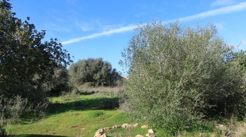 Islas Baleares - Кампос - 14625m2