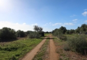 Parcela urbanizable en venta en la España, Campos, ref: TR373167 foto