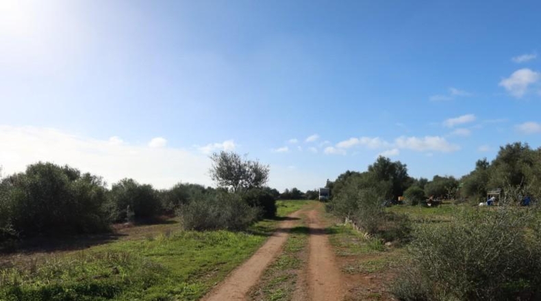 Islas Baleares - Кампос - 14625m2
