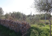 Parcela urbanizable en venta en la España, Campos, ref: TR373167 foto