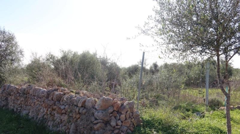 Islas Baleares - Кампос - 14625m2