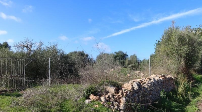 Islas Baleares - Кампос - 14625m2