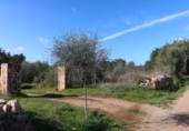 Parcela urbanizable en venta en la España, Campos, ref: TR373167 foto