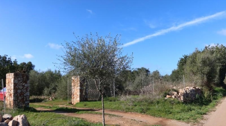 Islas Baleares - Кампос - 14625m2