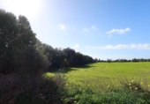 Parcela urbanizable en venta en la España, Campos, ref: TR373167 foto