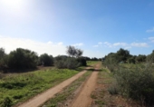 Parcela urbanizable en venta en la España, Campos, ref: TR373167 foto