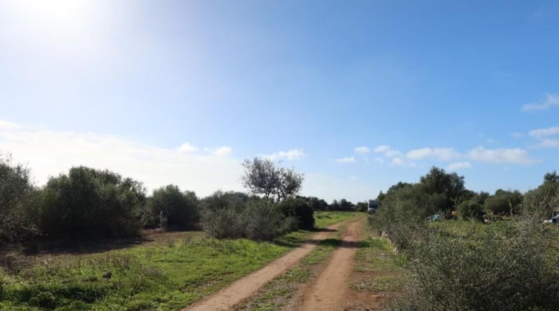 Islas Baleares - Кампос - 14625m2