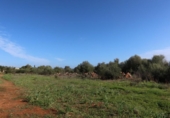 Parcela urbanizable en venta en la España, Campos, ref: TR373167 foto