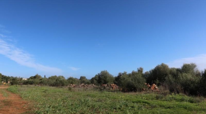 Islas Baleares - Кампос - 14625m2