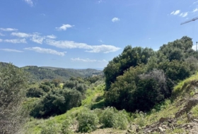 Benahavís 2996&nbsp;m²