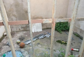Alboraya 195&nbsp;m²