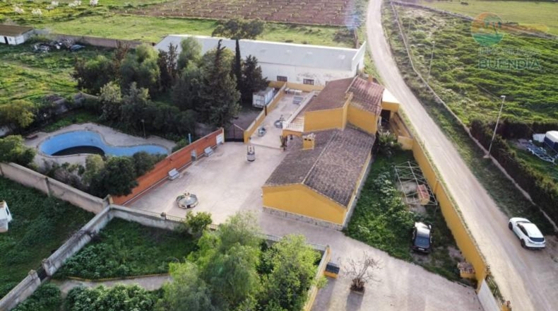 Murcia - Fuente Álamo de Murcia - 11950m2