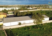 Casa de campo con terreno en venta en la España, Fuente Álamo, ref: TR382667 foto