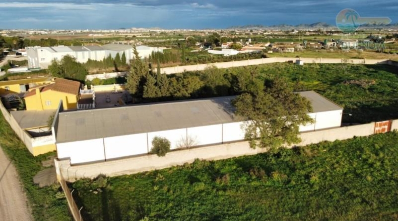 Murcia - Fuente Álamo de Murcia - 11950m2