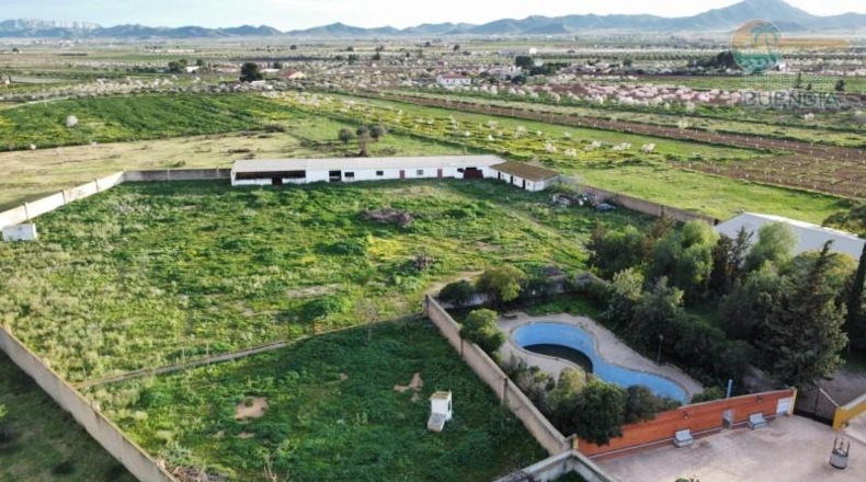 Murcia - Fuente Álamo de Murcia - 11950m2