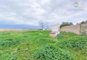 Casa de campo con terreno en venta en la España, Fuente Álamo, ref: TR382667 foto