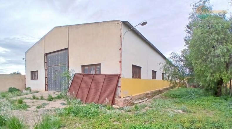 Murcia - Fuente Álamo de Murcia - 11950m2