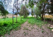 Casa de campo con terreno en venta en la España, Fuente Álamo, ref: TR382667 foto