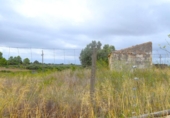 Terreno no urbanizable en venta en la España, Santa Margalida, ref: TR391534 foto