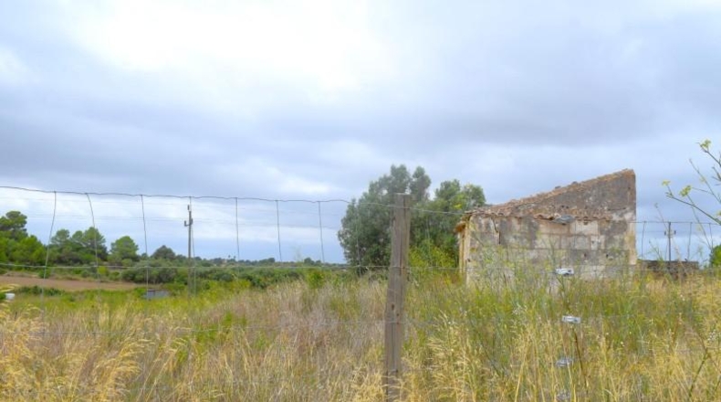 Balearic Islands - Son Bauló - 22734m2
