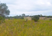 Terreno no urbanizable en venta en la España, Santa Margalida, ref: TR391534 foto