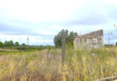 Terreno no urbanizable en venta en la España, Santa Margalida, ref: TR391534 foto