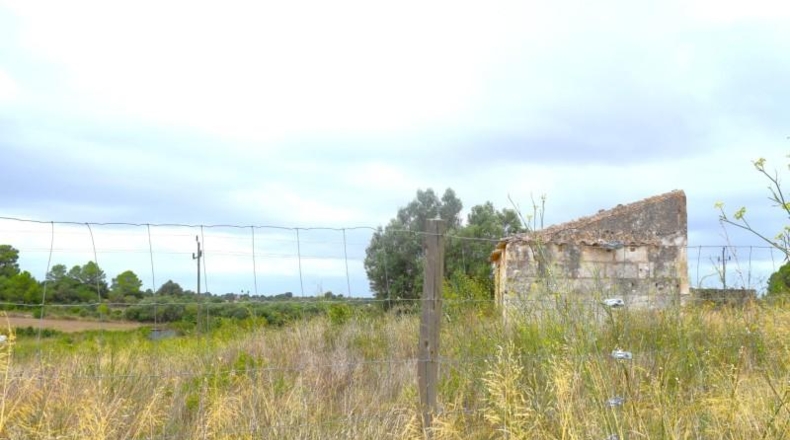 Balearic Islands - Son Bauló - 22734m2