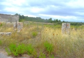 Terreno no urbanizable en venta en la España, Santa Margalida, ref: TR391534 foto