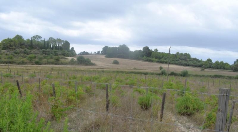 Balearic Islands - Son Bauló - 22734m2