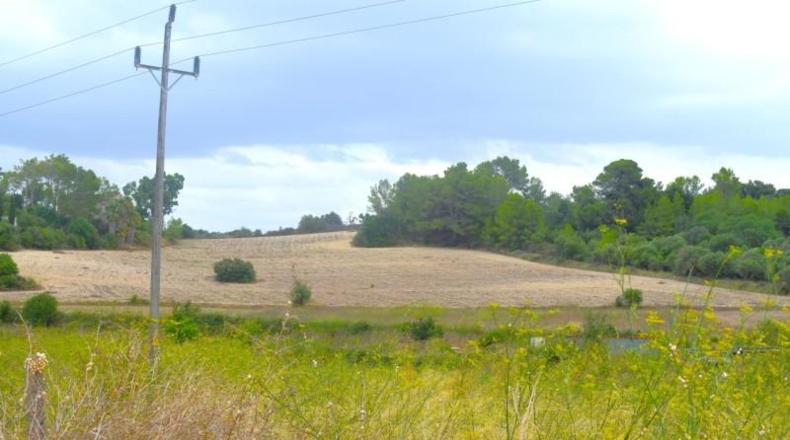 Balearic Islands - Son Bauló - 22734m2