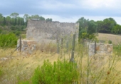 Terreno no urbanizable en venta en la España, Santa Margalida, ref: TR391534 foto