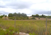 Terreno no urbanizable en venta en la España, Santa Margalida, ref: TR391534 foto