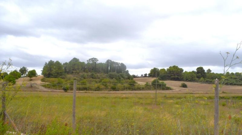 Balearic Islands - Son Bauló - 22734m2