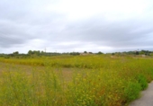 Terreno no urbanizable en venta en la España, Santa Margalida, ref: TR391534 foto