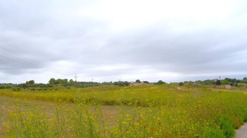 Balearic Islands - Son Bauló - 22734m2