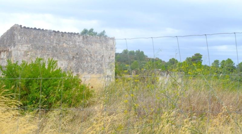 Balearic Islands - Son Bauló - 22734m2