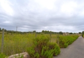Terreno no urbanizable en venta en la España, Santa Margalida, ref: TR391534 foto