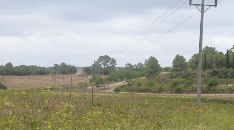 Balearic Islands - Son Bauló - 22734m2
