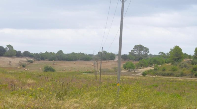 Balearic Islands - Son Bauló - 22734m2