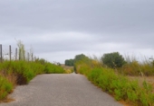 Terreno no urbanizable en venta en la España, Santa Margalida, ref: TR391534 foto