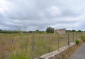 Terreno no urbanizable en venta en la España, Santa Margalida, ref: TR391534 foto