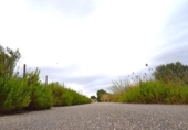 Terreno no urbanizable en venta en la España, Santa Margalida, ref: TR391534 foto
