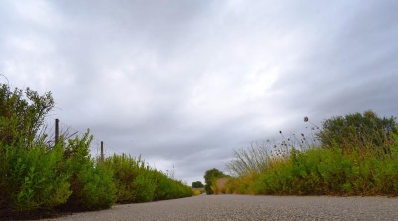 Balearic Islands - Son Bauló - 22734m2