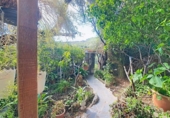 Casa de pueblo en venta en la España, Agüimes, ref: TR399619 foto